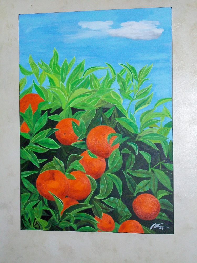 The Orange Collection